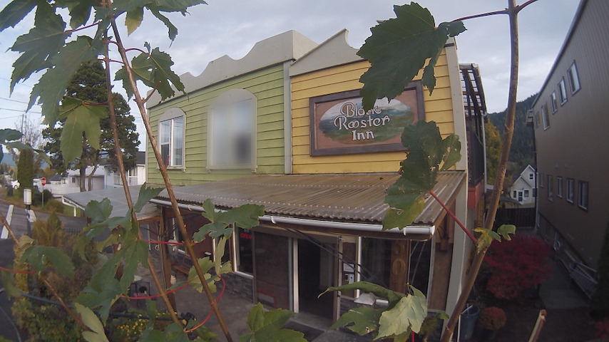 Canale telecamera in diretta da Black Rooster Guesthouse a Prince Rupert, BC, Canada