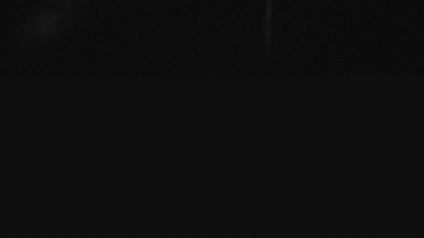 Damüls, Alpenstern Panoramahotel Image