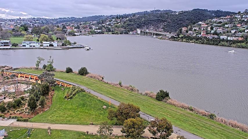 Canal de cámara en directo de Tamar Estuary en Launceston, Tasmania