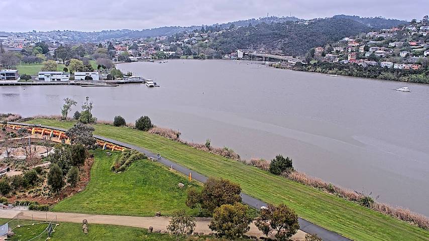 Živý kamerový kanál z Tamar Estuary v Launceston, Tasmania