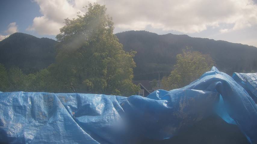 Mt. Hayes Image